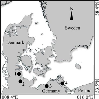 Elemental Inventory in Fish Otoliths Reflects Natal Origin of Atlantic Herring (Clupea harengus) From Baltic Sea Juvenile Areas